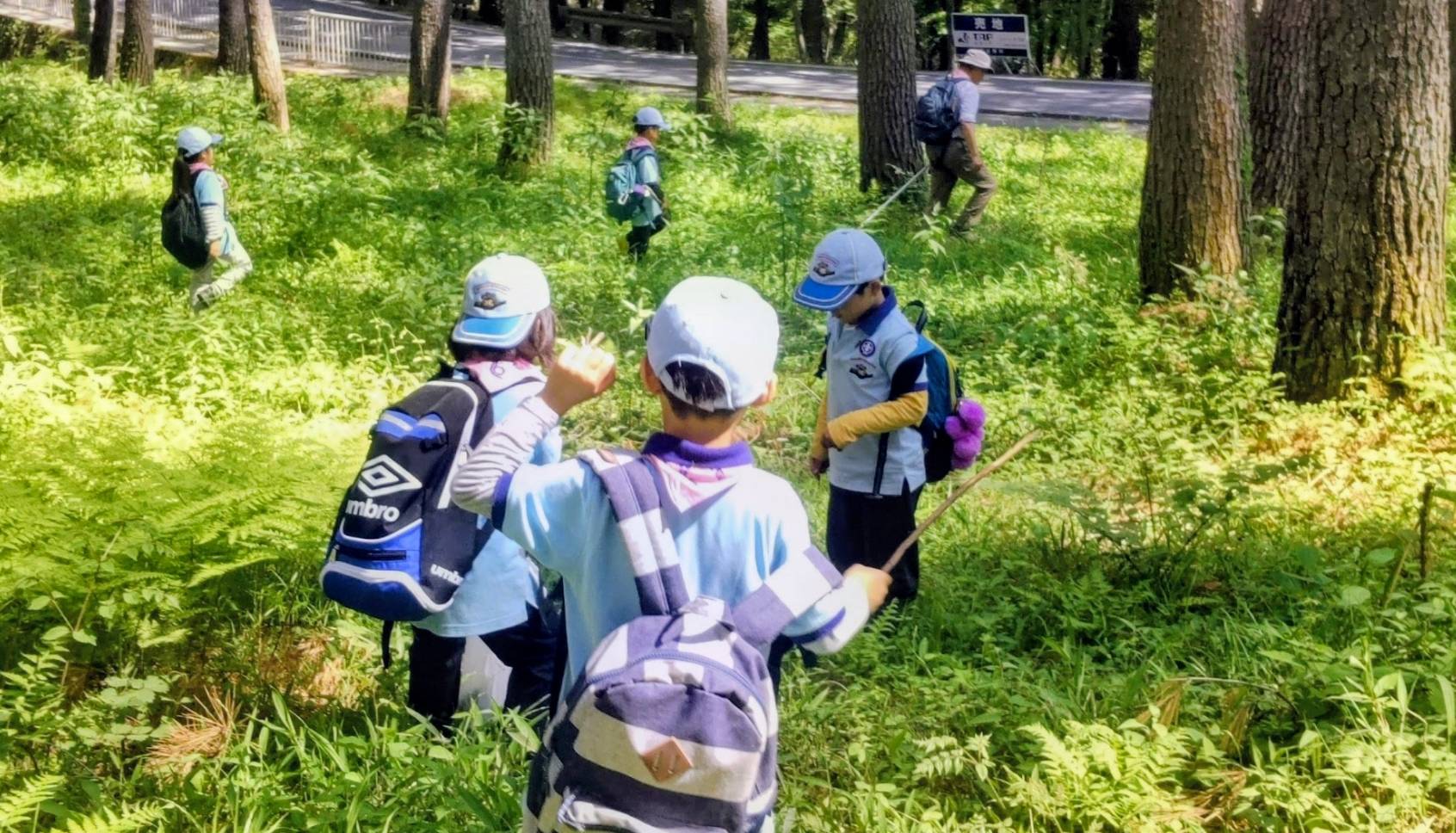 春を探して